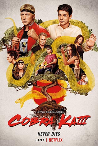 Cobra Kai season 2