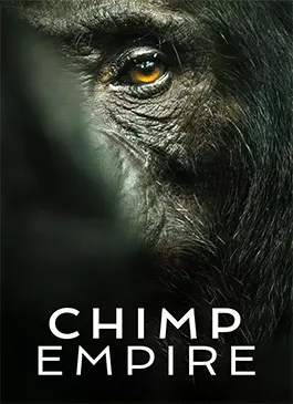 Chimp-Empire-2023.